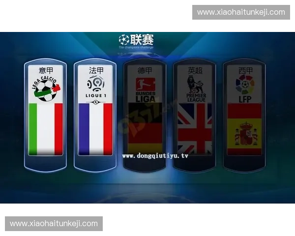 全球足球巅峰对决顶级联赛赛季解析欧洲五大联赛竞争态势与前景展望